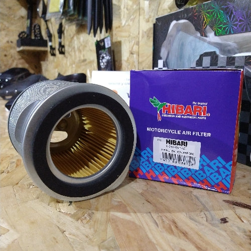 Kit mantenimiento preventivo HONDA XRE300